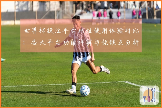 世界杯投注平台地址使用体验对比：各大平台功能详解与优缺点分析