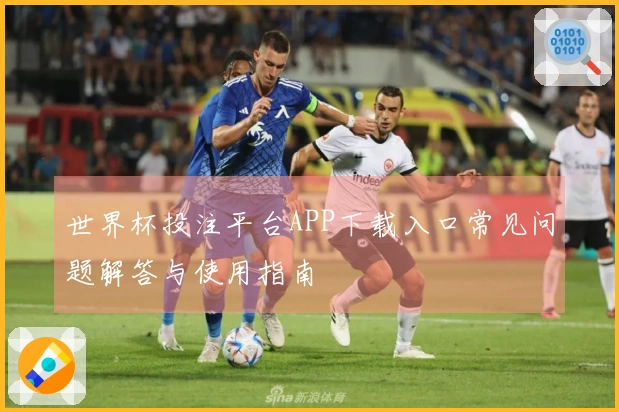 世界杯投注平台APP下载入口常见问题解答与使用指南