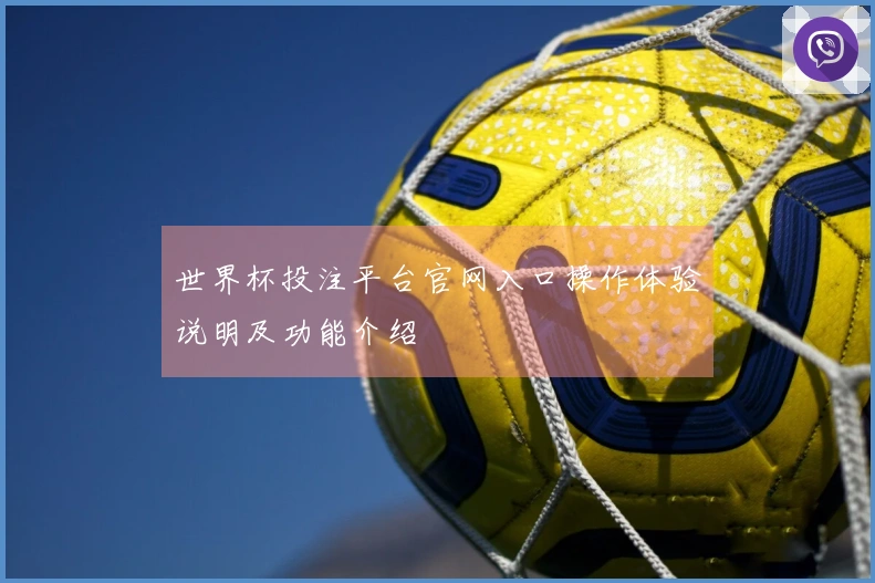 世界杯投注平台官网入口操作体验说明及功能介绍