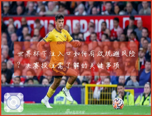 世界杯下注入口如何有效规避风险？决赛投注需了解的关键事项