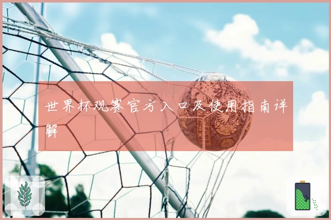 世界杯观赛官方入口及使用指南详解