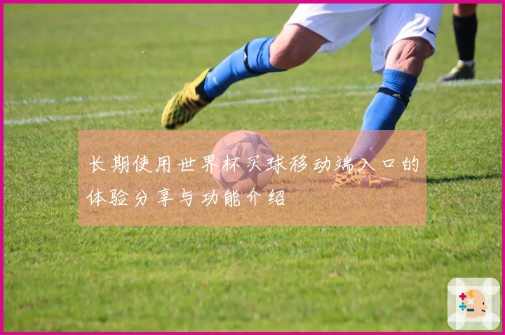 长期使用世界杯买球移动端入口的体验分享与功能介绍