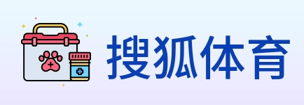 搜狐体育 logo